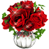.gul8.