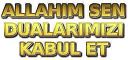 .qebul.