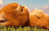 .baa.